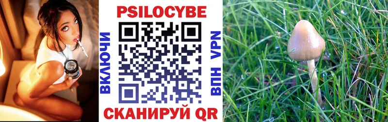 Псилоцибиновые грибы Magic Shrooms  Верхнеуральск 